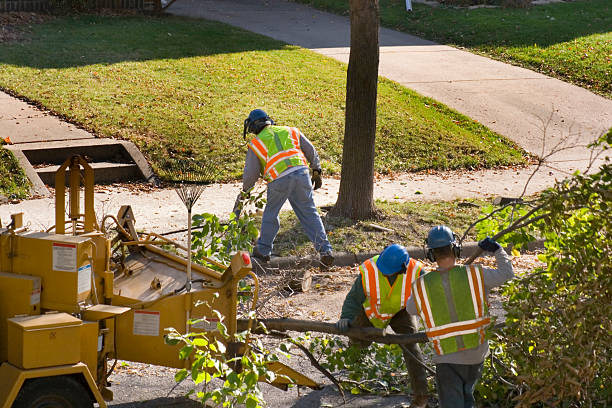 Mulching Services in Jenkintown, PA